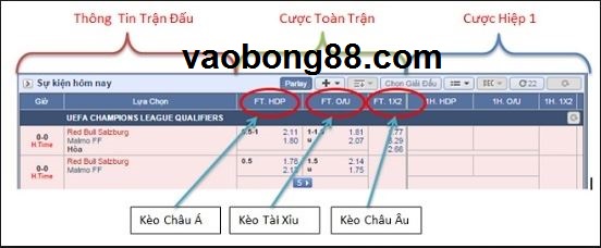 Kèo nhà cái Châu Âu là gì ? cách đánh Kèo Châu Âu FT 1x2