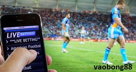 Trang cá cược bóng đá uy tín