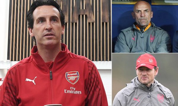 emery-se-cat-dut-het-nhung-canh-tay-dac-luc-cua-wenger-2