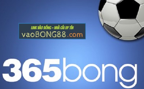 365bong – link vào 365bong – nhà cái uy tín