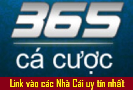 365cacuoc