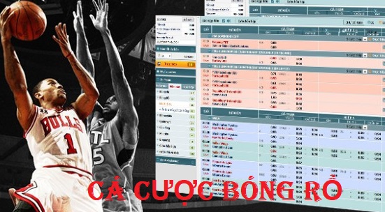 Hướng dẫn chơi cá cược bóng rổ