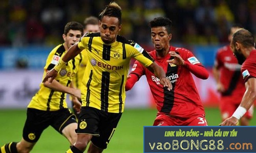 Tỷ lệ cược B.Leverkusen vs B.Dortmund11