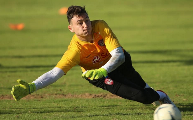 hlv-gama-phan-tich-diem-manh-yeu-cua-van-lam-1