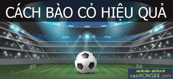 Cách bào cỏ hiệu quả