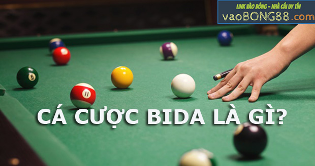 cá cược bida