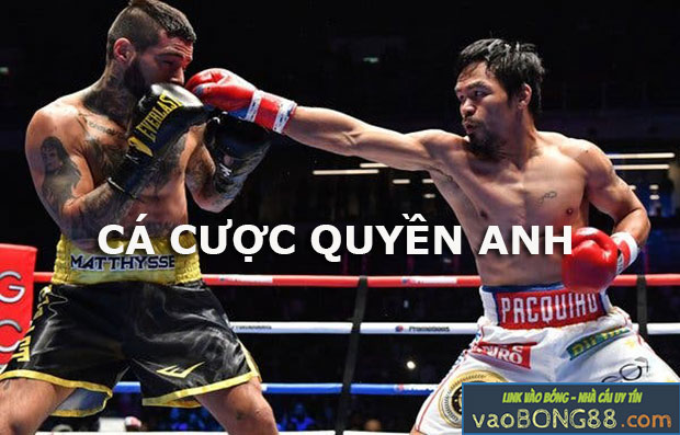 cá cược quyền anh